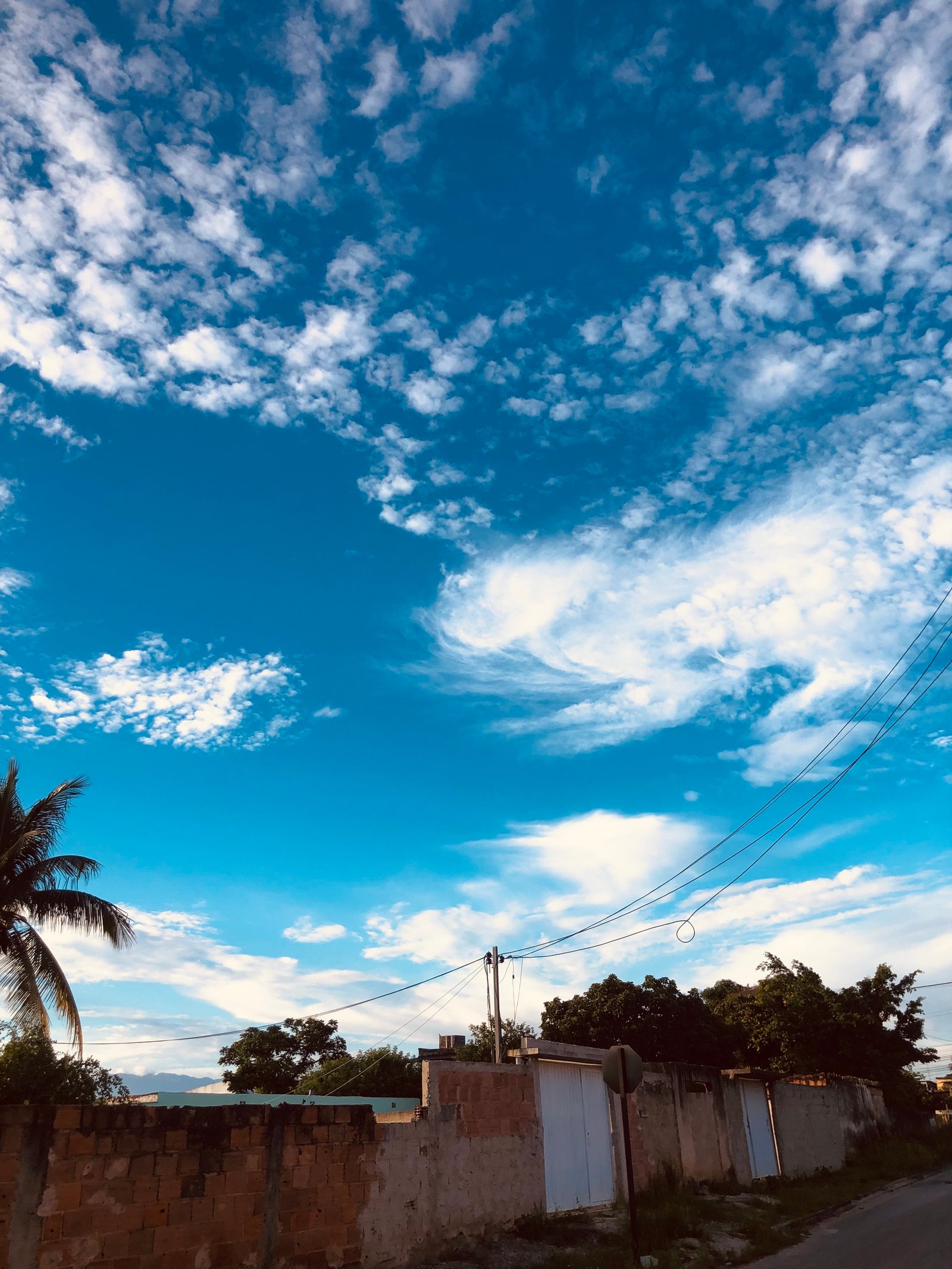 crio banners, logotipo 